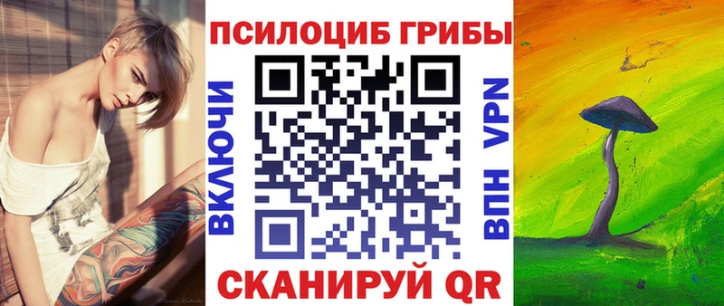 маркетплейс официальный сайт  Арсеньев  Галлюциногенные грибы Psilocybe 
